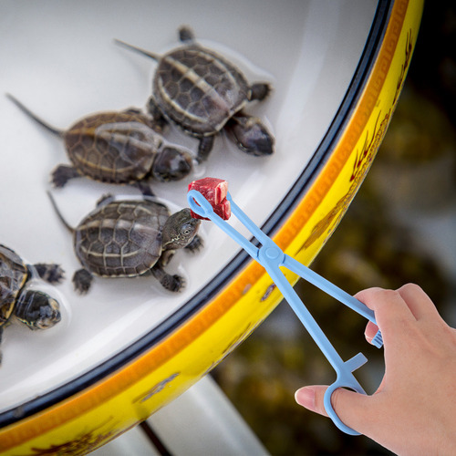 Nuevo Pinzas Para Alimentar Serpientes Y Reptiles, 2
