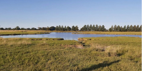 Terreno Lote  En Venta En Cañuelas, Resto De La Provincia, Buenos Aires