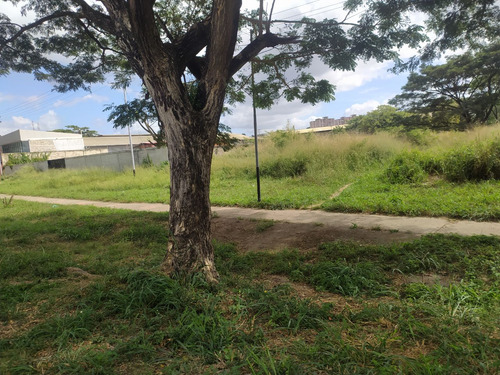 Imagen 3 de 8 de Terreno Vía Cúa-san Casimiro, Sector Aparay, Estado Miranda