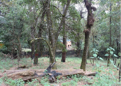 Imagen 3 de 5 de Terreno Con Acceso Inmediato Desde La Carretera Federal