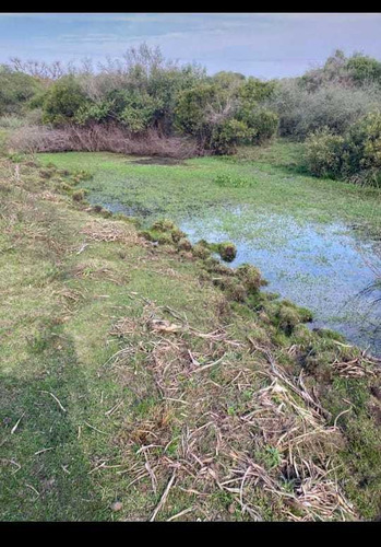 Buen Campo Ganadero Criador