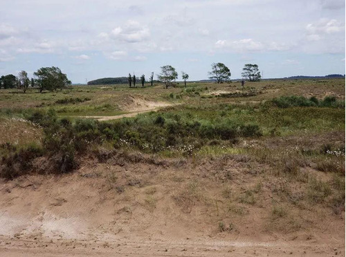 Imagen 1 de 8 de Chacra Venta 9 Lotes De 2500mts2 Totales- Villa Gesell