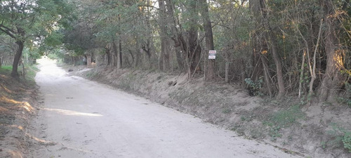 Imagen 2 de 7 de Terreno - Las Calles