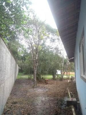Imagem 10 de 14 de Casa Com 03 Dormitórios Em Peruíbe/sp 6222-pc