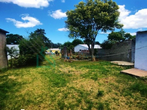 Imagen 11 de 14 de Colonia Del Sacramento - Casa A Refaccionar Con Muy Buen Terreno