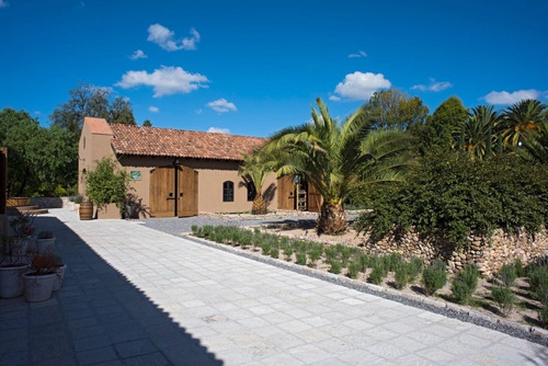 Venta De Terreno En Viñedo La Santisima Trinidad, San Miguel De Allende