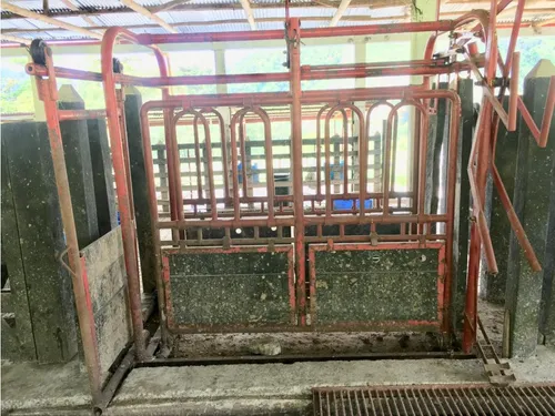 Vendo Finca En Tarapaca 80 Cuadras, Santa Rosa, Risaralda