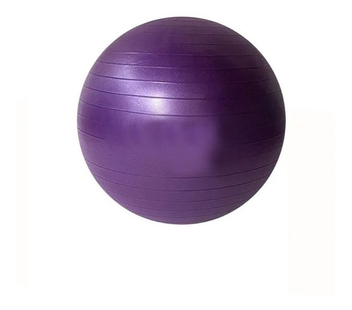 Pelota Esferodinamia Gym Ball 65 Cm Importada Pilates Yoga