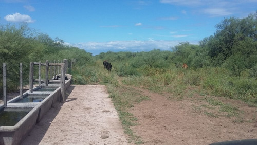 Imagen 30 de 30 de Se Vende Campo En Cordoba Listo Para Trabajarlo