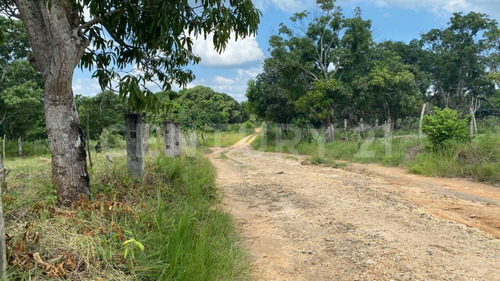 Terreno En Venta, San Pedro Mártir, Cosoleacaque, Veracruz.