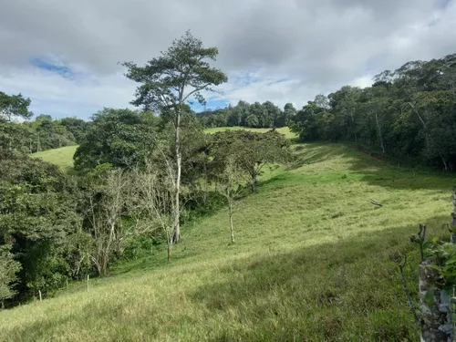 Vendo Finca Ganadera En Restrepo Valle