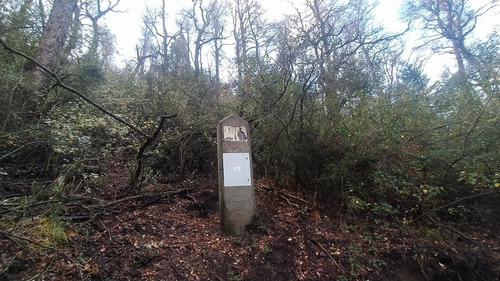Imagen 12 de 13 de Susana Aravena Propiedades Terreno - San Martin De Los Andes