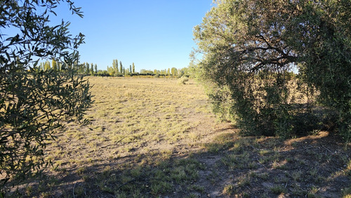 Gran Terreno O Lote De 2 Has En San Rafael Ideal Emprendimie