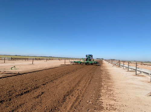 Movimiento De Suelos - Plateas - Corrales Para Feedlot