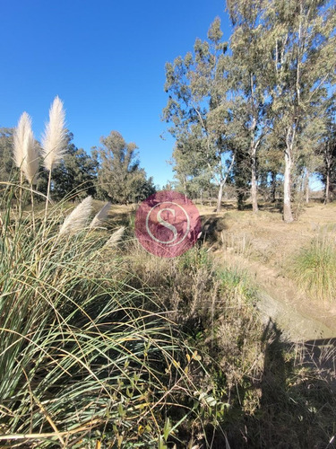 Terreno Lote En Venta En Pinares Cc, Exaltación De La Cruz, G.b.a. Zona Norte