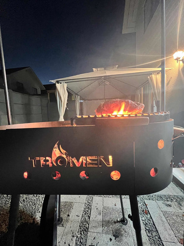Imagen 7 de 10 de Parrilla Para Asados A Carbón Premium Tromen Duomo Oval