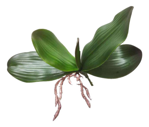 Ta 2 Hojas Artificiales De Orquídea Verde