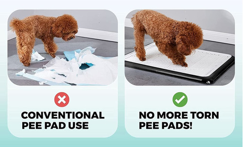 Pet Awesome Dog Potty Tray / Puppy Pee Pad Holder 25x20 Indo