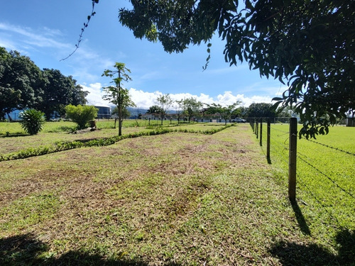 Imagen 7 de 12 de Venta De Lotes En Pérez Zeledón, Calle Foster, Los Chiles