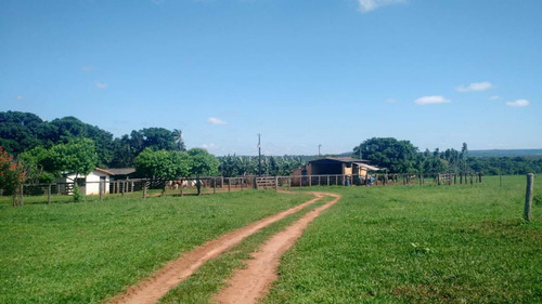 Imagem 9 de 9 de Fazenda Dupla Aptidão Município Campina Verde