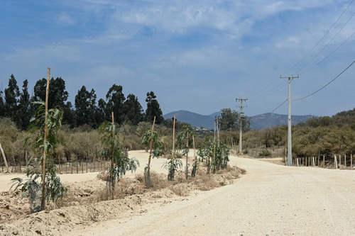 Venta Parcela Altos Del Valle Limache (171066)