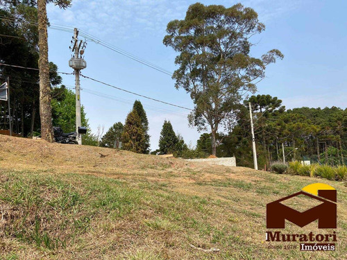Imagem 6 de 15 de Terreno Em Residencial Fechado - 2084