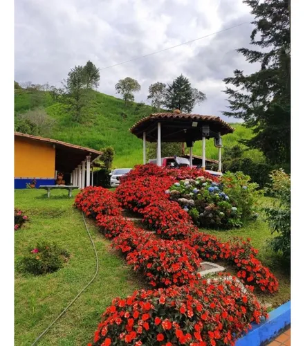Encantadora Finca En Venta Guarne