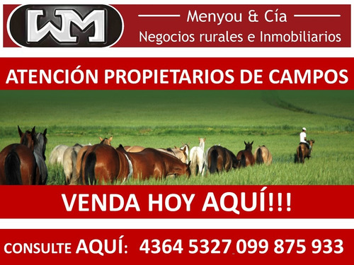 Imagen 11 de 13 de Venta Compra De Campos De 200has A 2500has Forestal Ganadero