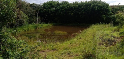 Fazenda À Venda, 65 Alqueires Por R$ 3.000.000 - Sítio Rural - São Sebastião Do Paraíso/mg - Fa0012