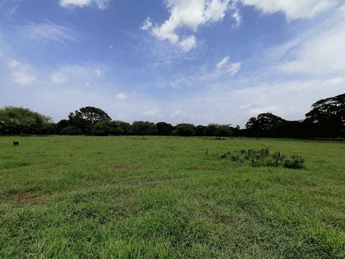 Imagen 6 de 14 de Lotes Campestre En Prado De Pontevedra Etapa 2 Turbaco Bolivar