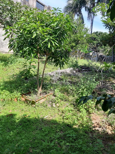 Chácara À Venda Em Chácara Recreio Cruzeiro Do Sul - Ch005794