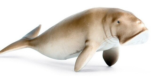 Animales Marinos. Dugongo. 15.5 Cms. Oceano Sirenio Manati.