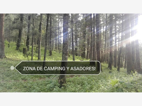 Imagen 7 de 12 de Terreno En Venta Dentro De Impresionante Bosque, Tenemos Lotes Escriturados!