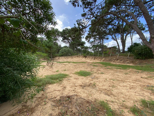 Terreno En Bikini