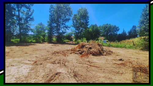 Terreno En Curali,santa Juana , Con Estero  (99143)