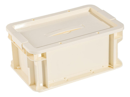 Caja De Almacenamiento Con Tapa De Polipropileno Con Asa De