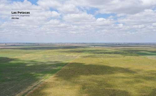 Campo De 255 Hectáreas En Las Petacas, Santa Fe