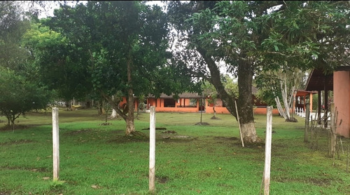 Imagem 3 de 13 de Chácara 3 Casas
