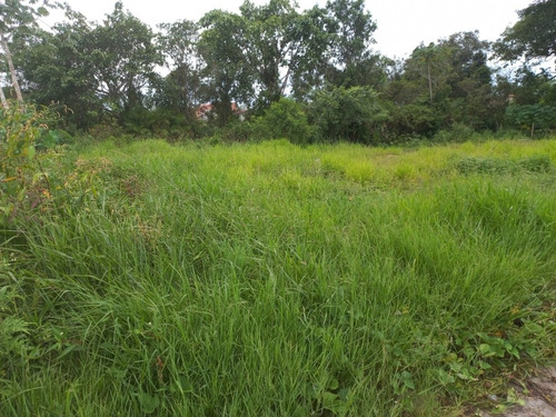 Imagem 1 de 3 de Terreno Venda Caraguatatuba - Sp - Jardim Das Gaivotas - 4296