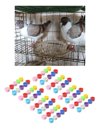 50 Pieza Anillos Identificación Accesorios De Animales