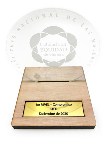 10 Trofeos De Acrílico Corte Láser Personalizados Con Logo