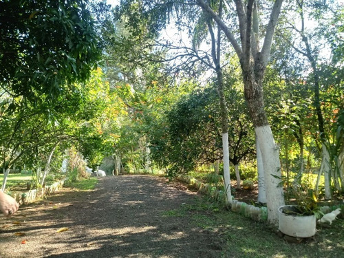 Chácara 2.500 M² - Morungava - Gravataí - Rs - 1657 - 32420178