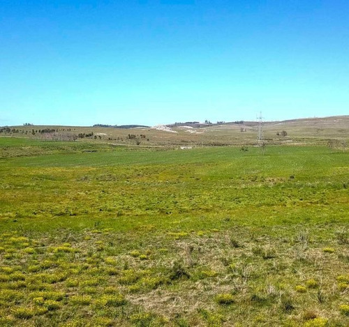 62 Hectáreas | Campo | Ruta 12 Km 14