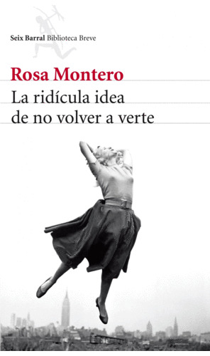 Libro La Ridicula Idea De No Volver A Verte