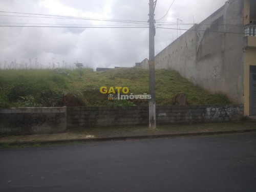 Imagem 1 de 1 de Terreno Para Venda Em Cajamar, Guaturinho - 20591_1-1657694