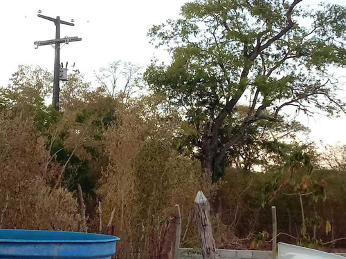 Chácara Top, Para Quem Busca Paz, E Lazer