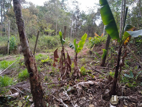 Área À Venda, 11000 M² Por R$ 1.320.000,00 - Chácaras Bartira - Embu Das Artes/sp - Ar0053