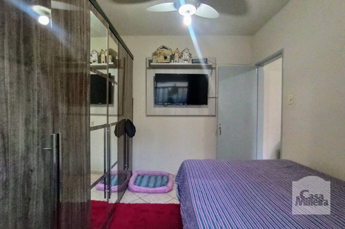 Imagem 6 de 15 de Casa À Venda No Salgado Filho - Código 337319 - 337319