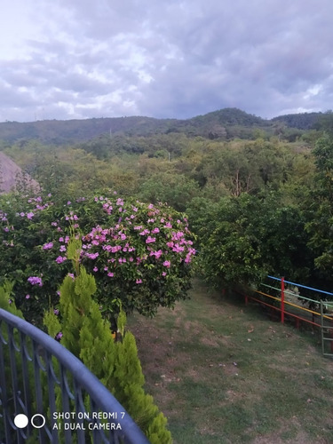 Imagen 22 de 28 de Finca El Ensueño, Ricaurte, Cundinamarca