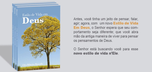 Imagem 3 de 4 de Livro Estilo De Vida Top | 1° Edição | Cléo Ribeiro Rossafa